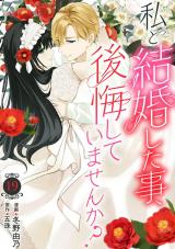 私と結婚した事、後悔していませんか？19 パッケージ画像