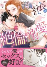 あちらの新海社長は絶倫・溺愛～エリート野獣と甘イキ蜜夜【単行本版】【電子限定描き下ろし漫画付き】 パッケージ画像