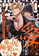 漢極道・環さんは愛されたい 【電子限定かきおろし漫画付】 パッケージ画像