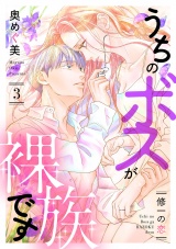 うちのボスが裸族です 〜修一の恋〜（3） パッケージ画像