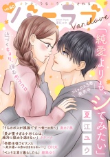 バニラブvol.60 パッケージ画像