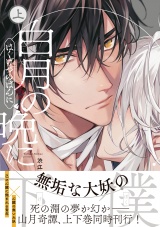 白月の晩に 上 パッケージ画像