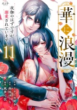 華に浪漫〜夜伽のはずですが溺愛されています〜（11） パッケージ画像