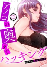 アノコの奥までハッキング１３ パッケージ画像