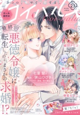 コイハル vol.２３ パッケージ画像