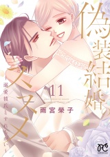 偽装結婚のススメ 〜溺愛彼氏とすれちがい〜【電子単行本】　11 パッケージ画像