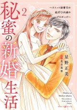 秘蜜の新婚生活〜エリート御曹司の絶対内緒のプロポーズ〜 2 パッケージ画像