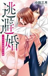 逃避婚～ふたりは恋愛欠乏症28 パッケージ画像