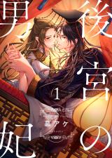 後宮の男妃1 パッケージ画像
