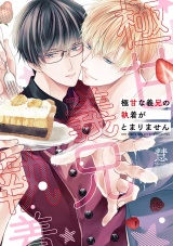極甘な義兄の執着がとまりません 【電子限定おまけ付き】 パッケージ画像
