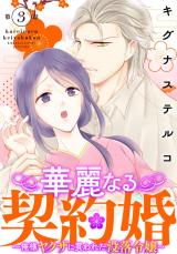 華麗なる契約婚 ～俺様ヤクザに買われた没落令嬢～3 パッケージ画像