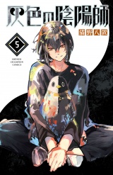 灰色の陰陽師　5 パッケージ画像