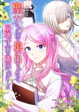 【フルカラー】聖女なのに国を追い出されたので、崩壊寸前の隣国へ来ました〜力を解放したので国が平和になってきましたが元の国まで加護は届きませんよ〜 2 パッケージ画像