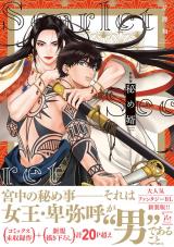 新装版　秘め婿 パッケージ画像