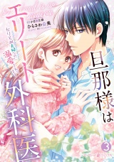 旦那様はエリート外科医〜かりそめ夫婦なのに溺愛されてます〜　3 パッケージ画像