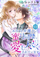 【分冊版】エリート弁護士に蜜月同棲で愛し尽くされています11話 パッケージ画像