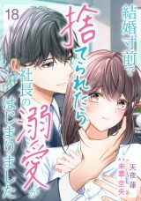 【分冊版】結婚寸前で捨てられたら社長の溺愛がはじまりました18話 パッケージ画像
