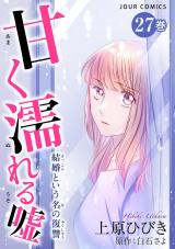 甘く濡れる嘘～結婚という名の復讐～（27巻） パッケージ画像