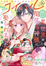 コイハル vol.２４ パッケージ画像