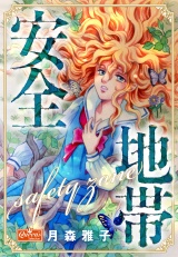 安全地帯 パッケージ画像