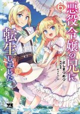 悪役令嬢の兄に転生しました【電子単行本】　6 パッケージ画像