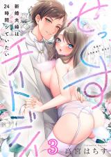 せっくすチートデイ～新婚夫婦は24時間シていたい3 パッケージ画像