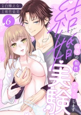 結婚実験〜身体の相性からテストします〜(6) パッケージ画像