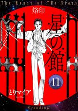 星の館11 烙印 パッケージ画像