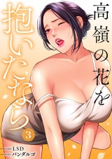 高嶺の花を抱いたなら【電子単行本版】３ パッケージ画像