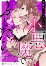真夜中、拾ったワンコは小悪魔でふしだら night.3《カノンミア》 パッケージ画像