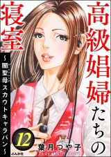 高級娼婦たちの寝室 〜闇聖母スカウトキャラバン〜 （12） パッケージ画像