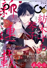 PRIMO Vol.41 パッケージ画像
