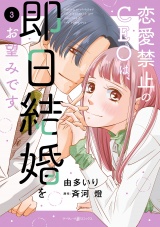 恋愛禁止のCEOは、即日結婚をお望みです　3 パッケージ画像