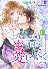【分冊版】エリート弁護士に蜜月同棲で愛し尽くされています12話 パッケージ画像