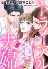 トライアル夫婦 〜妻と夫の試用期間〜 パッケージ画像