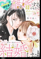 推し似の副社長と離婚するつもりで結婚します〜塩対応から始まる溺愛婚〜【単話】（20） パッケージ画像
