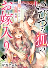 いびつな狐のお嫁入り〜鬼が焦がれた九尾の娘〜(11) パッケージ画像