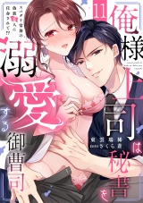 俺様上司は秘書を溺愛する御曹司〜スパダリ常務の偽装恋人に任命されて!?(11) パッケージ画像