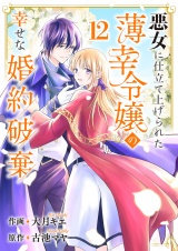 悪女に仕立て上げられた薄幸令嬢の幸せな婚約破棄１２ パッケージ画像