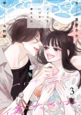 どこにもいけない僕たちは、（3巻）【完】 パッケージ画像