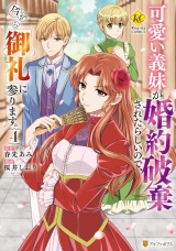 可愛い義妹が婚約破棄されたらしいので、今から「御礼」に参ります。４ パッケージ画像