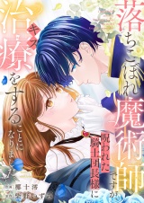 落ちこぼれ魔術師ですが、呪われた騎士団長様に治療（キス）をすることになりました。 パッケージ画像
