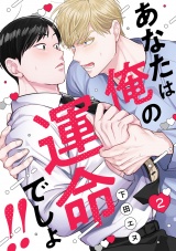 あなたは俺の運命でしょ!!(2) パッケージ画像