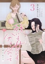 酸いも甘いも分け合って−恋に疲れた私たち− 3 パッケージ画像