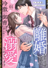 離婚したはずなのに、冷徹エリート御曹司に容赦なく溺愛されています【電子単行本版】１ パッケージ画像