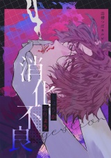 消化不良 パッケージ画像