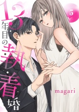 13年目の執着婚５ パッケージ画像