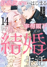 好感度ゼロからはじまる宰相閣下との結婚生活（14） パッケージ画像