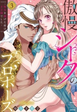 傲慢シークのプロポーズ 〜処女を捧げた彼は王子様でした〜 3 【電子限定おまけマンガ付き】 パッケージ画像