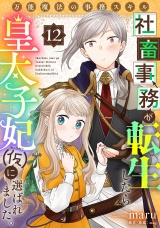 万能魔法の事務スキル〜社畜事務が転生したら皇太子妃（仮）に選ばれました。(12) パッケージ画像